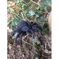 Scary monster Spider Geocache 